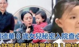 晨妈最新消息爆料,揭秘娱乐圈最新动态